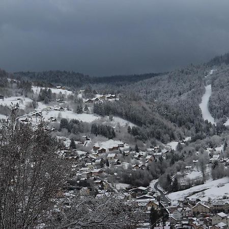 Apartement Sur Les Hauteurs De Gerardmer Avec Une Superbe Vue Bagian luar foto