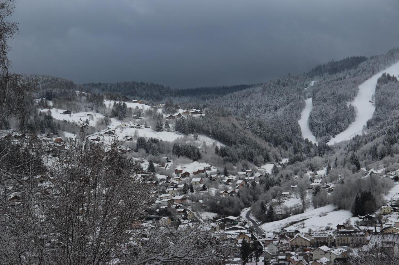Apartement Sur Les Hauteurs De Gerardmer Avec Une Superbe Vue Bagian luar foto